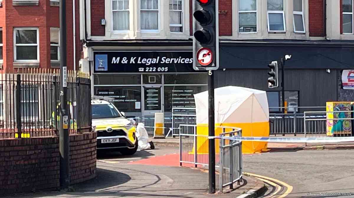 Woman stabbed to death in street, court told