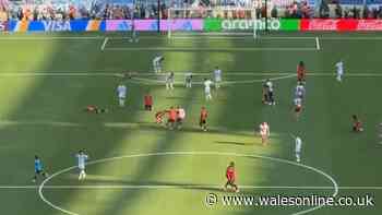 New footage of World Cup final fight emerges as real culprit of bust-up revealed