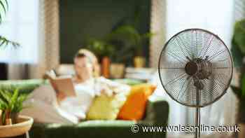 Stay cool at night without air conditioning or fans using simple item