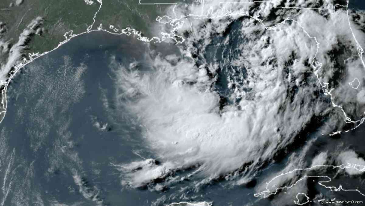 Bertha expected to form today in the Gulf