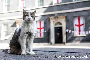 Will Larry the cat be staying at Number 10 as Starmer moves out?