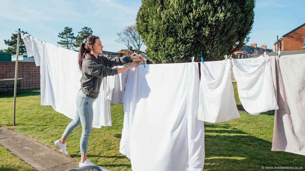 Laundry will stay soft and not stiffen even when dried outside with 35p Tesco item