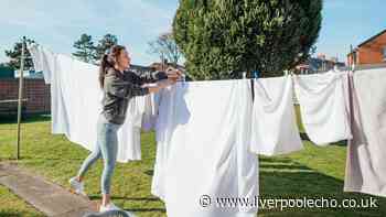 Laundry will stay soft and not stiffen even when dried outside with 35p Tesco item
