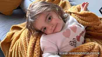 Three-year-old girl dies after drowning in swimming pool on holiday