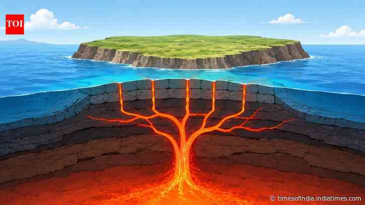 World’s largest oceanic plateau still hides ancient magma pathways after 100 million years