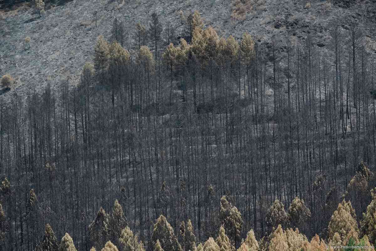 Waldbrand bei Madrid wird immer größer