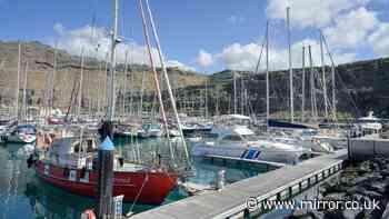 Man sliced and killed by boat propeller in Canary Islands as helpless friend watches