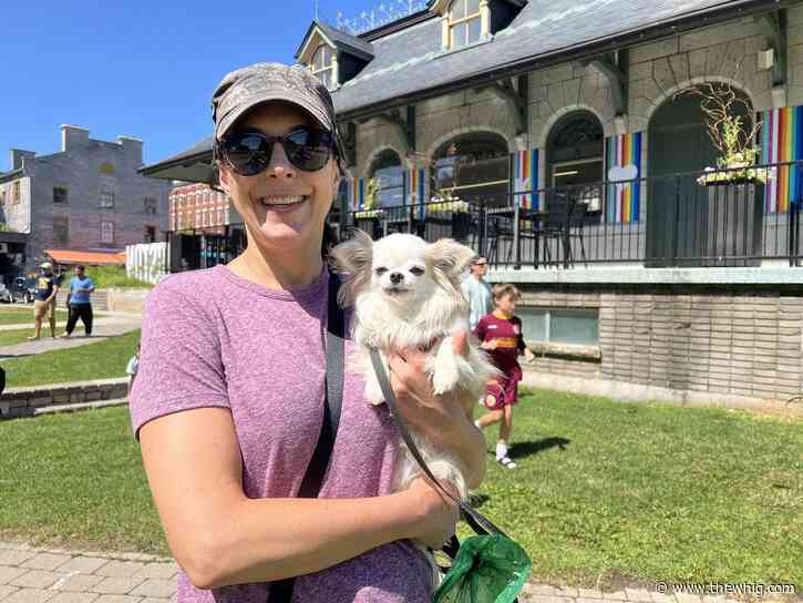Wildfire smoke and heat are serious risks to pets, expert warns