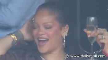 Rihanna is branded an 'icon' as she performs the Macarena with a glass of champagne in her hand while watching the World Cup final