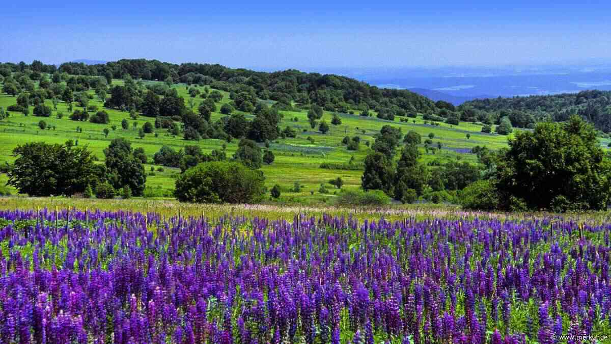 Weg vom Schwarzwald oder Allgäu: Hier liegt Deutschlands schönste Naturkulisse für einen Ausflug