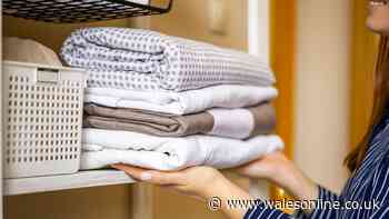 Bedding and towels always smell fresh with simple 7p item in cupboard