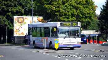 Bus travel will be free on these dates in Swansea this summer