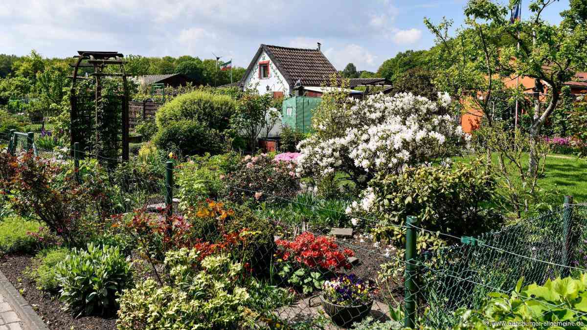 Streit im Schrebergarten: Mann bedroht Nachbarin