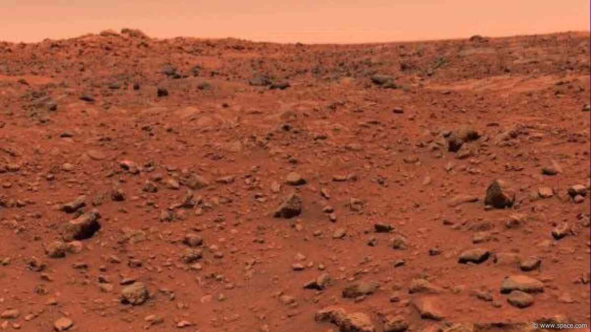 Did Viking 1 find life on Mars 50 years ago? Here's why the debate continues