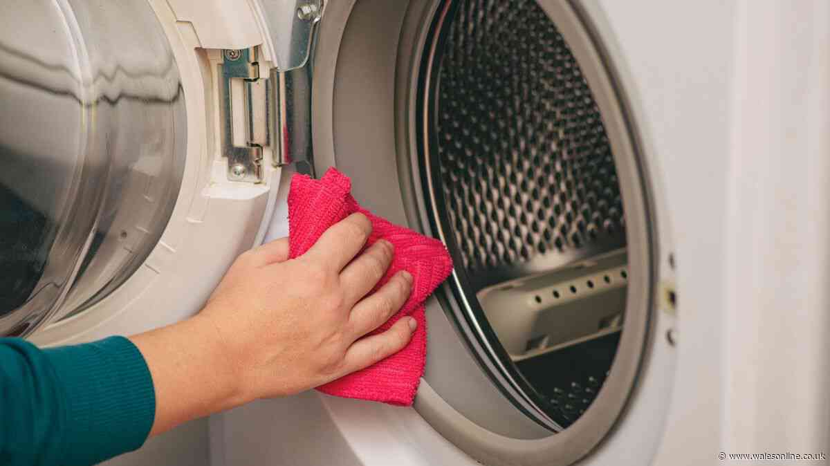 Put 1 kitchen ingredient in washing machines to get rid of bad smells