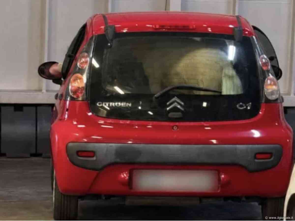 Pony nel bagagliaio di un'auto sul traghetto, la denuncia di Borrelli: "Com'è possibile che nessuno sia intervenuto?"