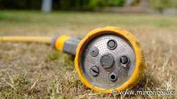 South East Water announces hosepipe ban for 2.4 million customers after UK heatwaves