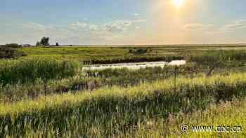 Proposed Wheatland County AI data centre hits close to home for concerned residents