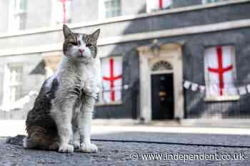 Larry the Cat welcomes yet another prime minister into No 10