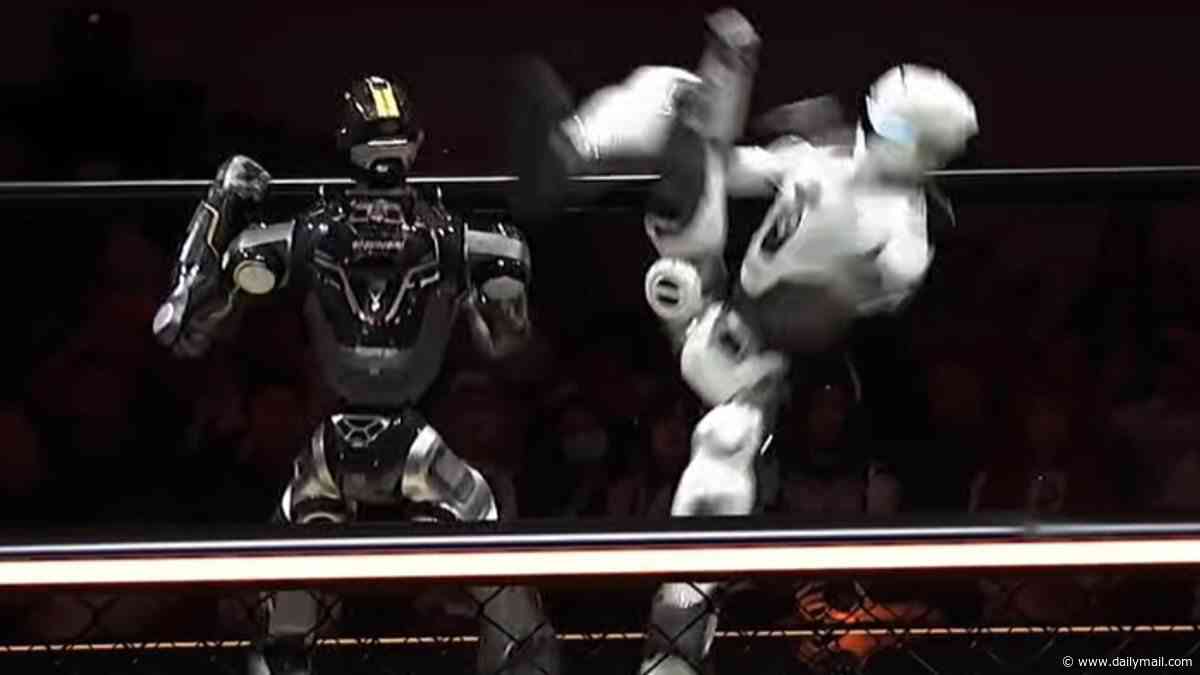 MMAI! Watch the moment a robot is DECAPITATED during a brutal humanoid cage fight - yet keeps fighting