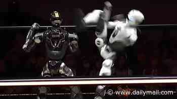 MMAI! Watch the moment a robot is DECAPITATED during a brutal humanoid cage fight - yet keeps fighting