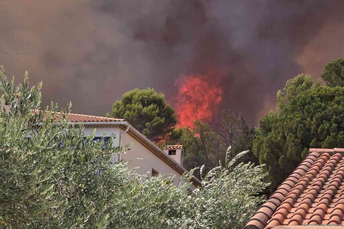 Incendie dans le Var : quels impacts ont les feux de forêts sur le réchauffement climatique ?