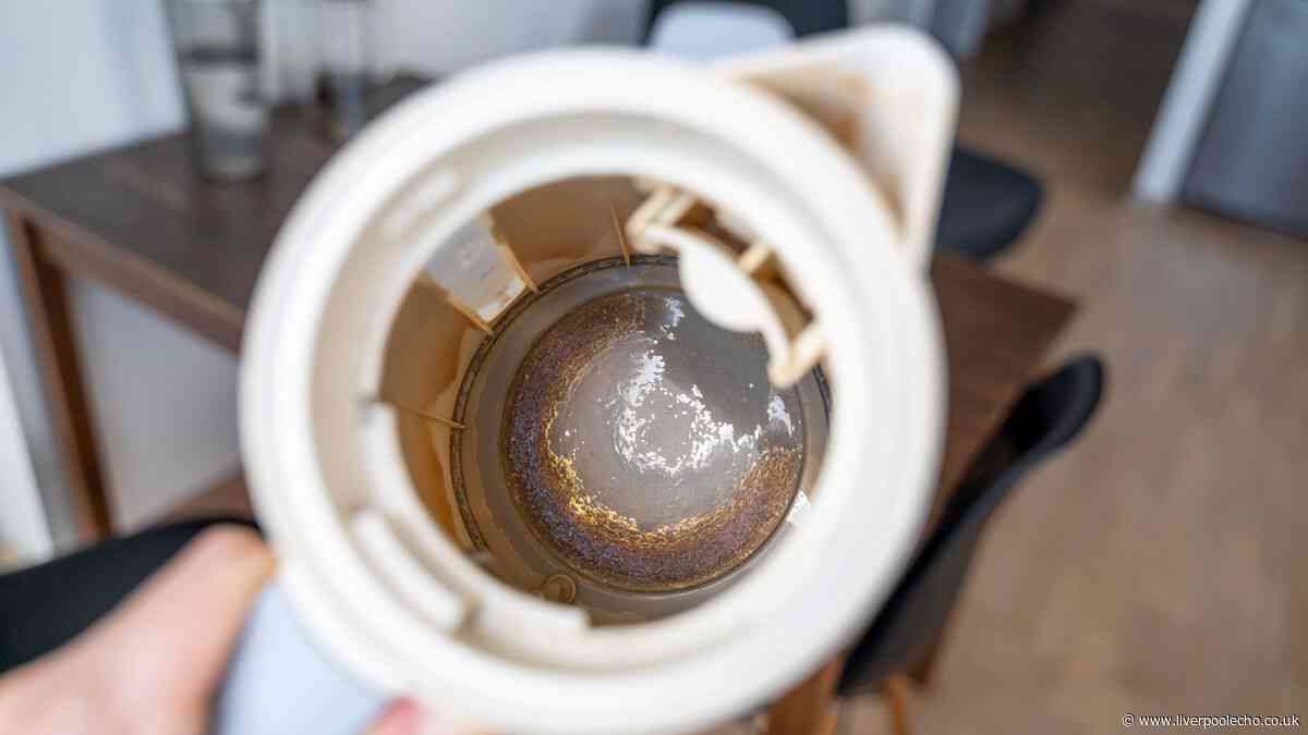 Kettles will limescale-free if you ditch lemons for better natural ingredient