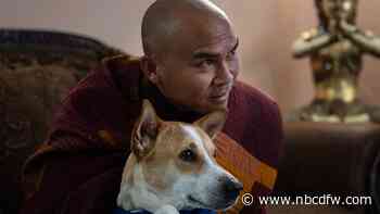 How a 2,300-mile Walk for Peace thrust a Fort Worth monk and his dog into the spotlight