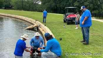 Fishing returns to Bedford Boys Ranch Lake after major fish die-off a year ago