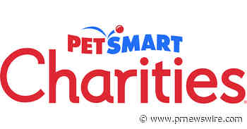 PetSmart Charities National Adoption Week Returns as Kitten Season Peaks Nationwide