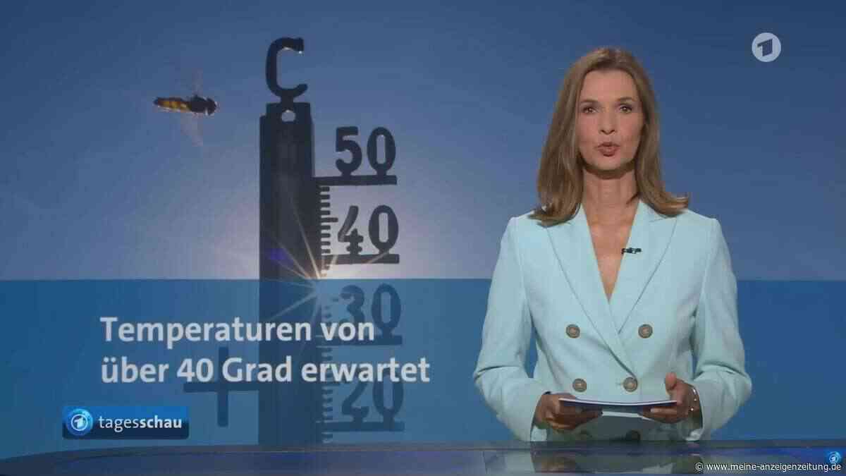 Trotz Hitze-Rekorden: ARD und ZDF berichten nur noch halb so oft übers Klima wie vor drei Jahren