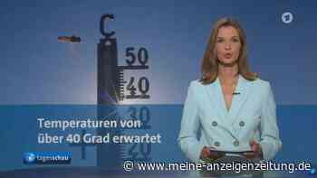 Trotz Hitze-Rekorden: ARD und ZDF berichten nur noch halb so oft übers Klima wie vor drei Jahren