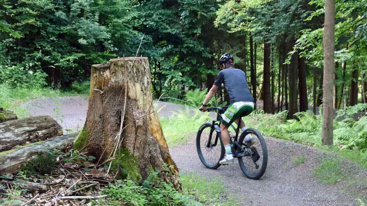 Rad-Trails im Spannungsfeld zwischen Naturerlebnis und Naturschutz