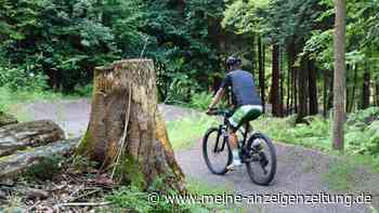 Rad-Trails im Spannungsfeld zwischen Naturerlebnis und Naturschutz