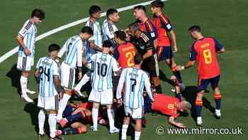 FIFA launch investigation into Argentina after 'disgusting' World Cup final scenes