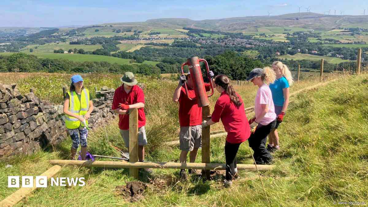 Leaky dams to prevent moorland fires and flooding