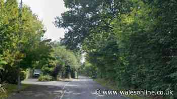 Road closure planned for engineering works