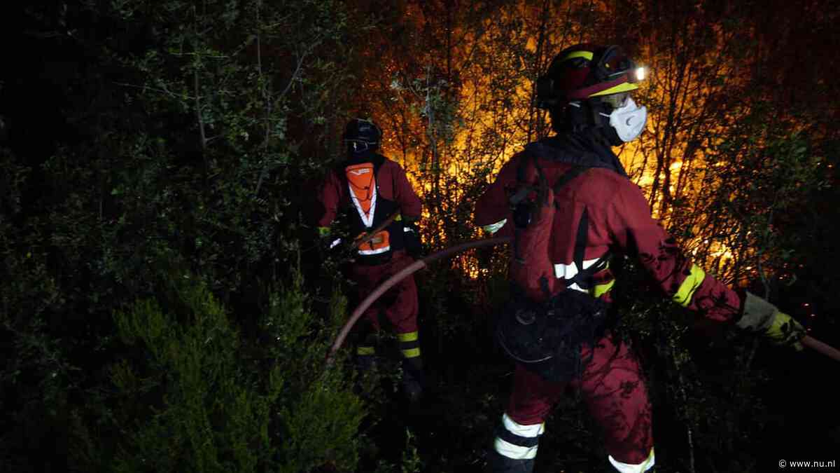 Morgen code rood in vier Franse regio's wegens 'zeer groot' risico op bosbranden