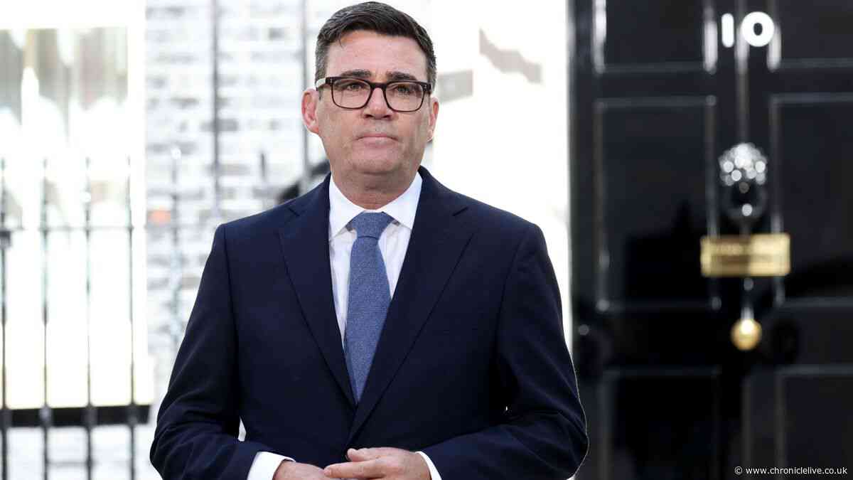 Key points from Andy Burnham's speech as the new Prime Minister