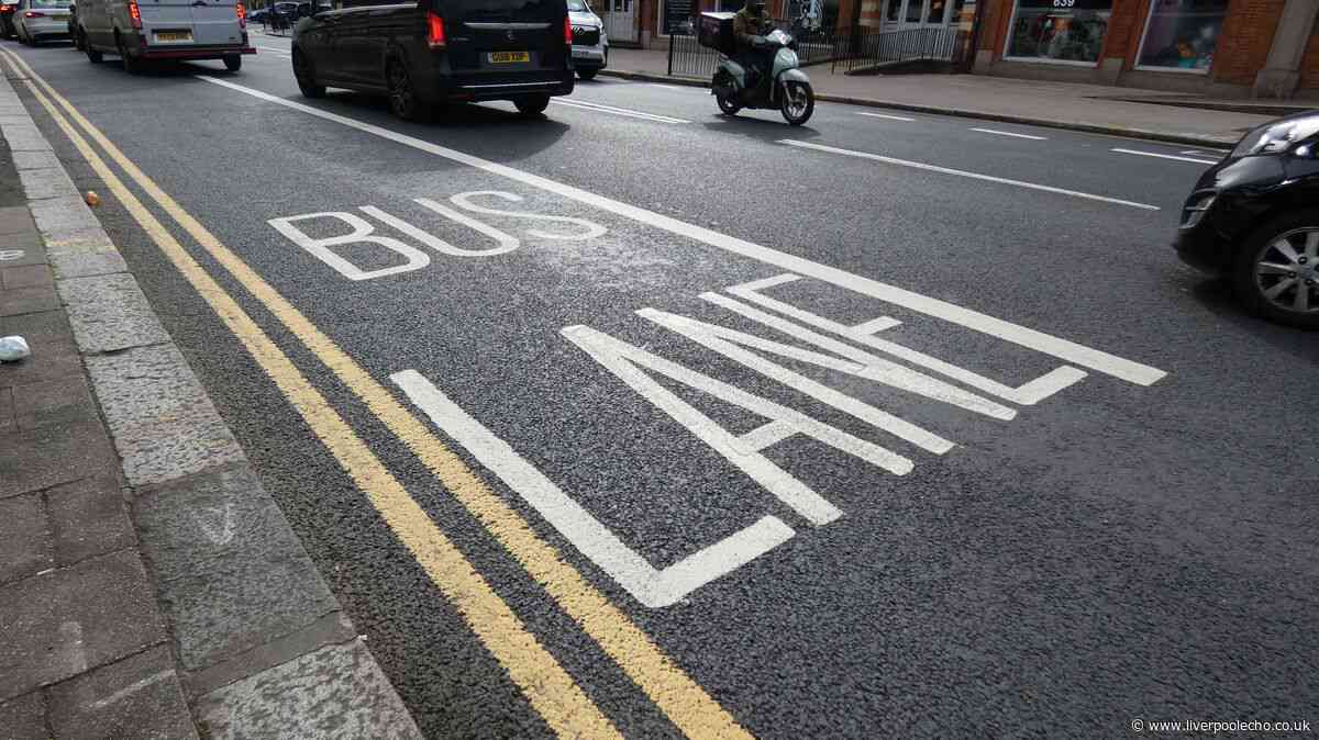 7.5m eligible for free bus travel starting on August 1