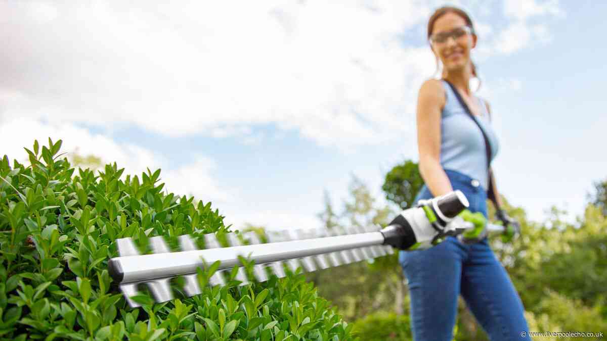 'Excellent' hedge trimmer that makes 'pruning an enjoyable chore' now £105 off