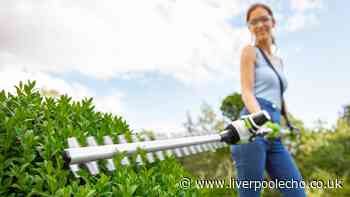 'Excellent' hedge trimmer that makes 'pruning an enjoyable chore' now £105 off
