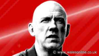 Wales have 12 macthes to fix six problems as new man needs to get up to speed