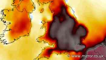 UK weather maps show 41C heatwave and hottest day ever as 10 counties reach 40C