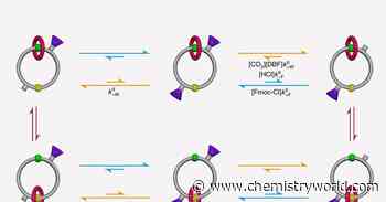 Molecular ratchets: unlocking the chemistry of biological motion