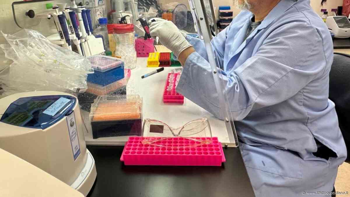 Svelato come il virus dell’influenza “riprogramma” le cellule infettate. Lo studio su Nature