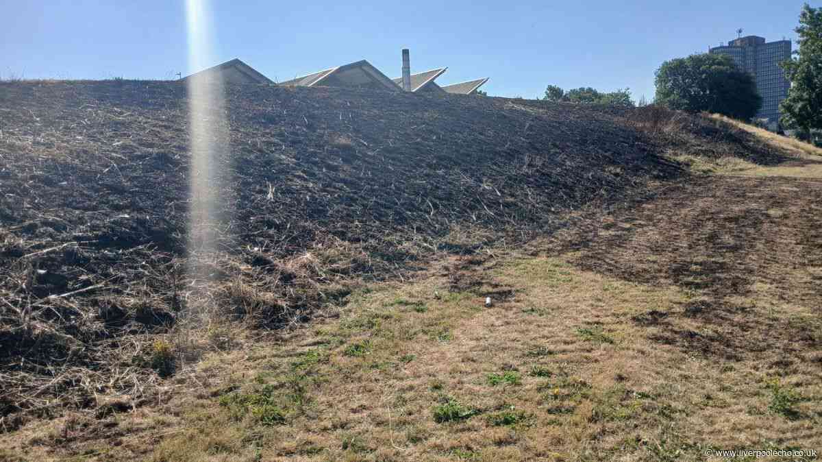 Charred remains of rare animal found in Sefton amid fire warning