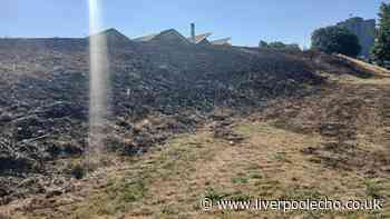 Charred remains of rare animal found in Sefton amid fire warning