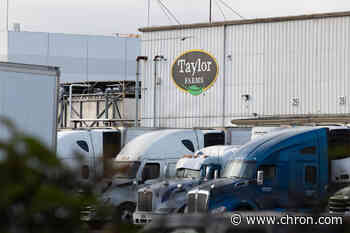 FDA retracts Cyclospora ruling for Taylor Farms lettuce