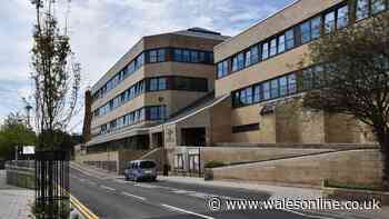 Welsh council to update net zero strategy public think is unaffordable